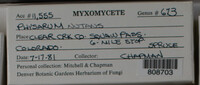 Image Associated With the Occurence